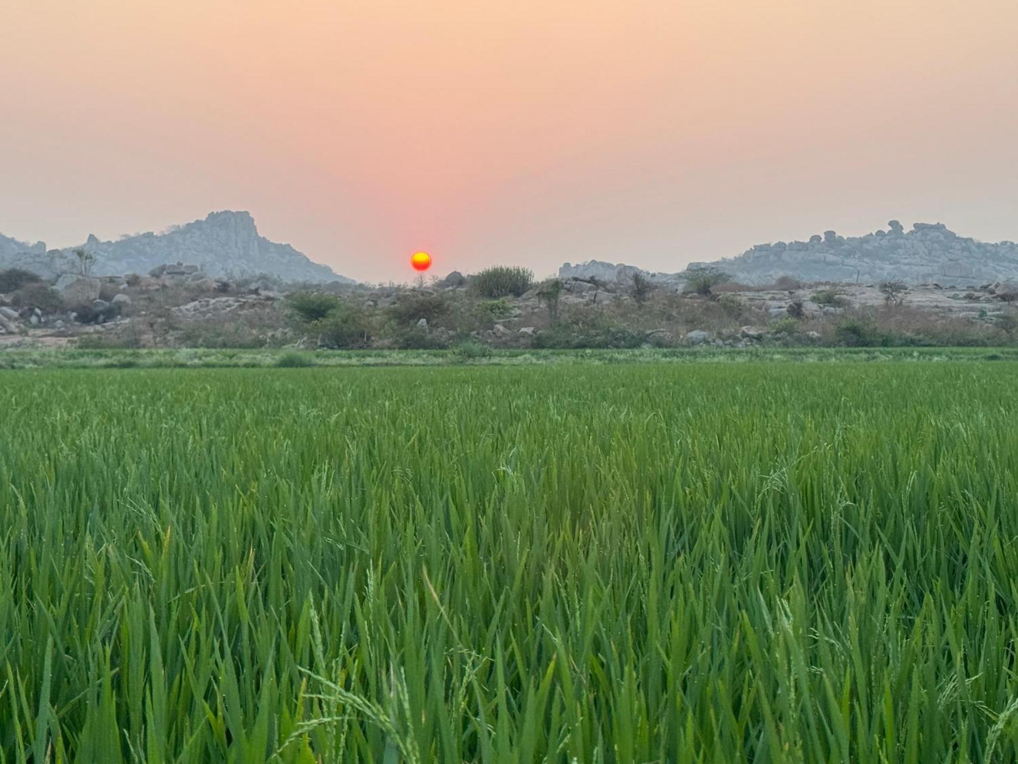 Hill Stone View Hampi Hotel Luaran gambar