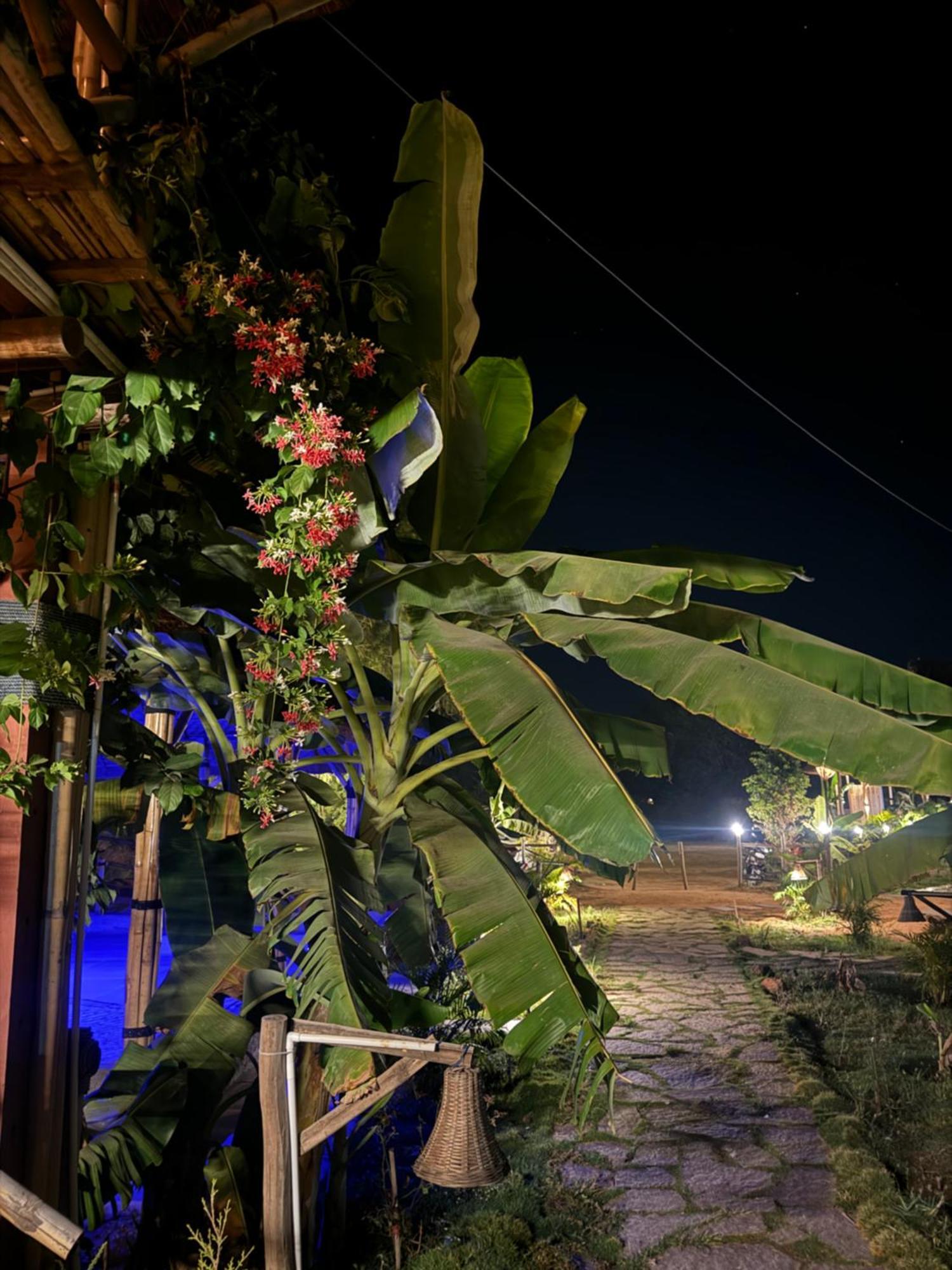 Hill Stone View Hampi Hotel Luaran gambar
